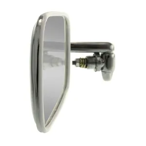 Left Mirror